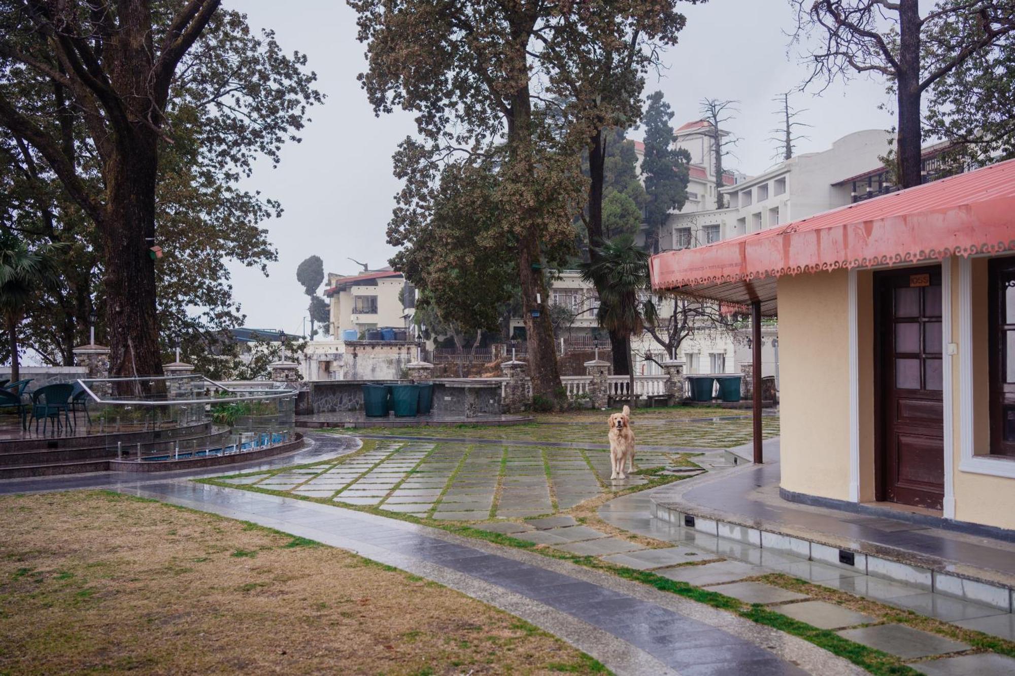Bliss & Company By Hnh Hotel Mussoorie Buitenkant foto